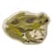 Hello Honey® Green 11.75" Garden Frog Stoneware Plate